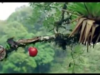 Morsom adam og eve commercial